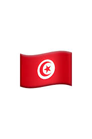 🇹🇳 Flag of Tunisia Emoji